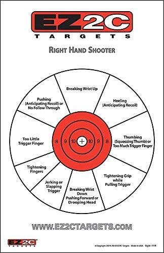 125 EZ2C Targets Favorites 5 Handgun Styles Paper Targets Bundle 11"x17" USA Made