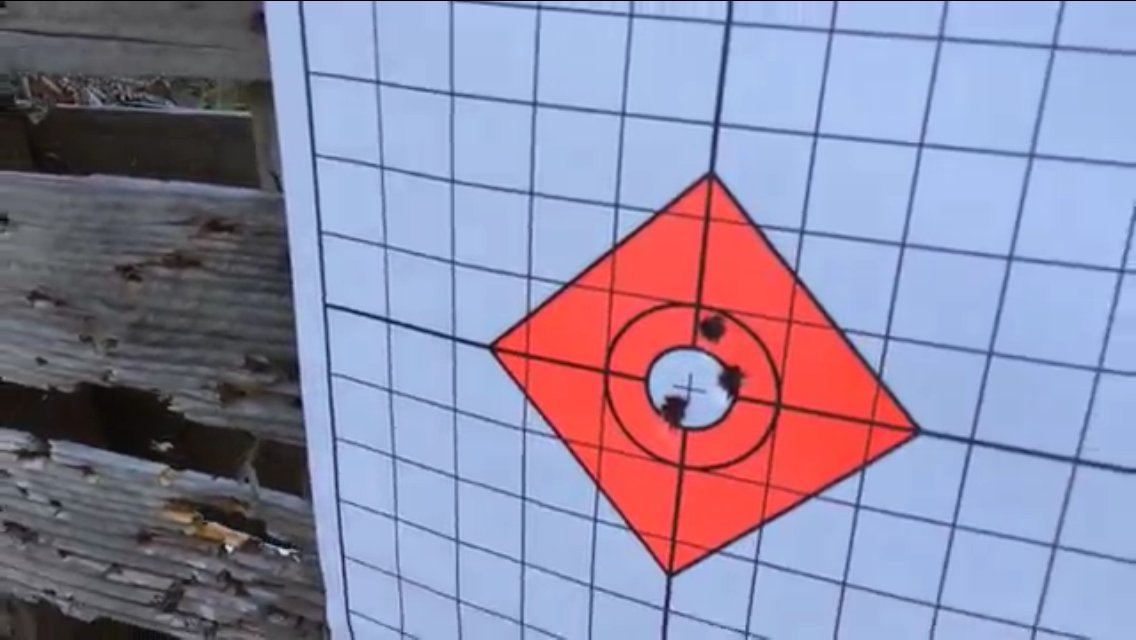 25 USA Made EZ2C Targets Style 13: Shooting Range Paper Target w 1" Grids 11"x17" (25 Count)