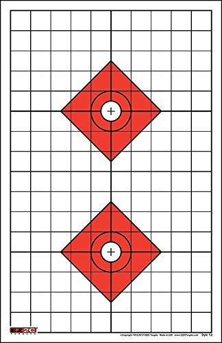 200 EZ2C Targets Most Popular 5 Rifle Styles Paper Targets Bundle 11"x17" USA Made
