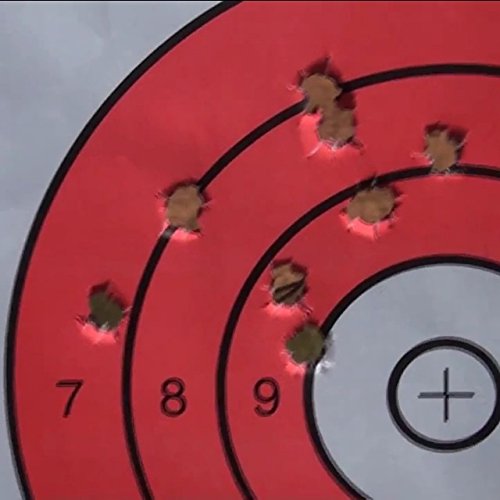 25 EZ2C Targets Style 12: Paper Targets for Shooting Range B16 USA MADE 11"x17" Pad of 25
