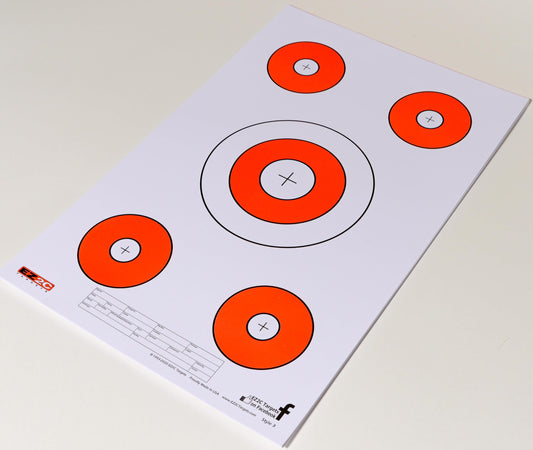 25 EZ2C Targets Style 3: Paper Shooting Target USA Made Pad of 25 11"x17"